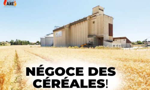 Miniature du cours