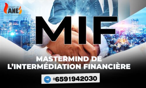 Mastermind sur l’Intermediation Financière