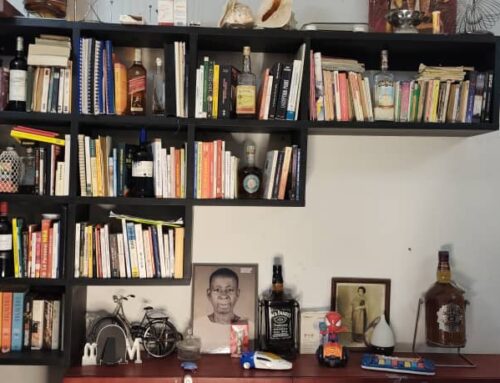 POURQUOI J’AI OPTÉ POUR UNE MAISON SANS TÉLÉVISION AU PROFIT D’UNE BIBLIOTHÈQUE ?