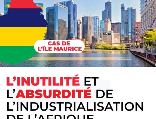 L&rsquo;INUTILITÉ ET L&rsquo;ABSURDITÉ DE L&rsquo;INDUSTRIALISATION DE L&rsquo;AFRIQUE, PARTIE 3/4