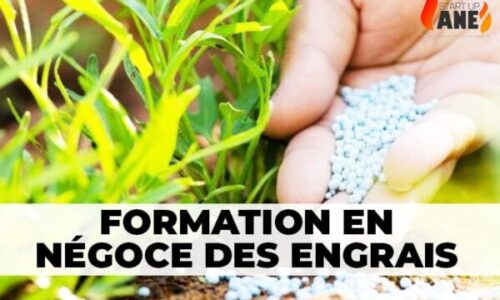 Miniature du cours