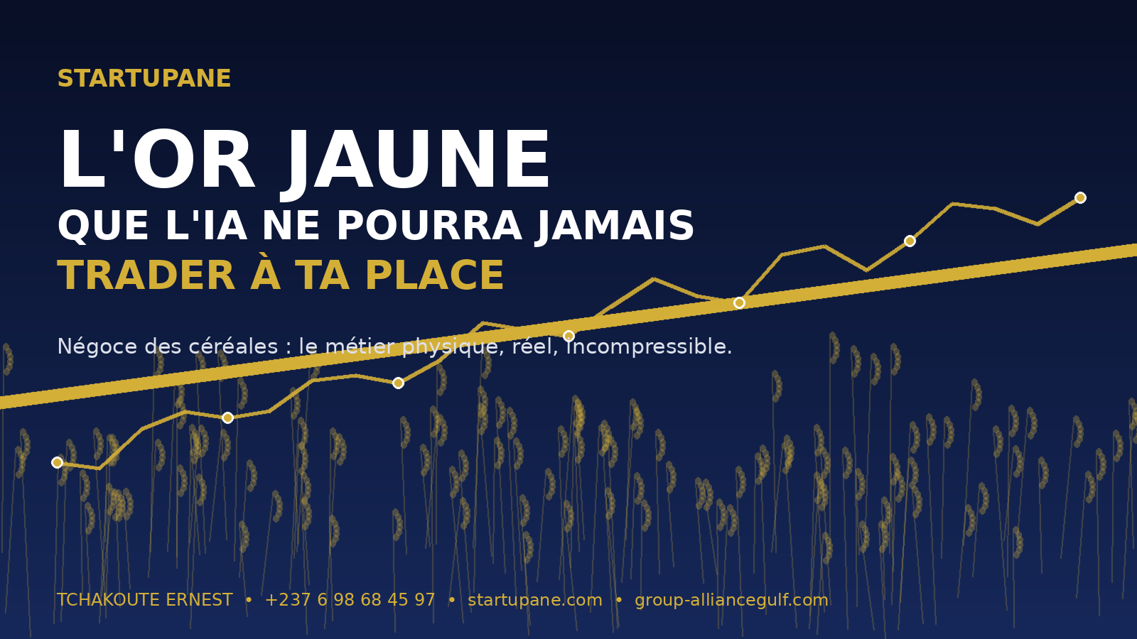 Négoce des céréales - Startupane