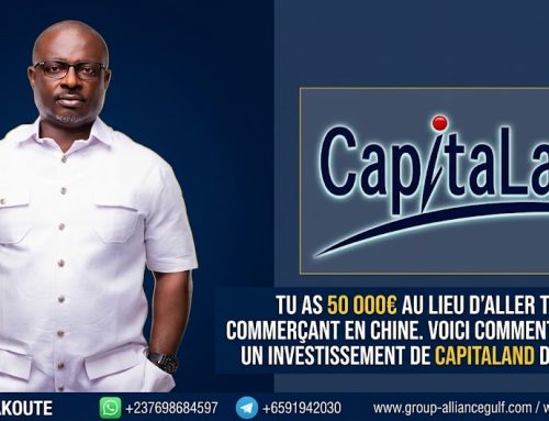 TU AS 50 000€ AU LIEU D&rsquo;ALLER T&rsquo;IMPROVISER COMMERÇANT EN CHINE. VOICI COMMENT RECEVOIR UN INVESTISSEMENT DE CAPITALLAND DE SINGAPOUR
